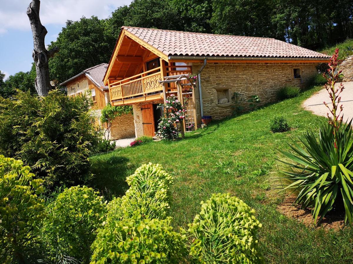Saint-Lattier Chalet Le Clos De L'Orme מראה חיצוני תמונה