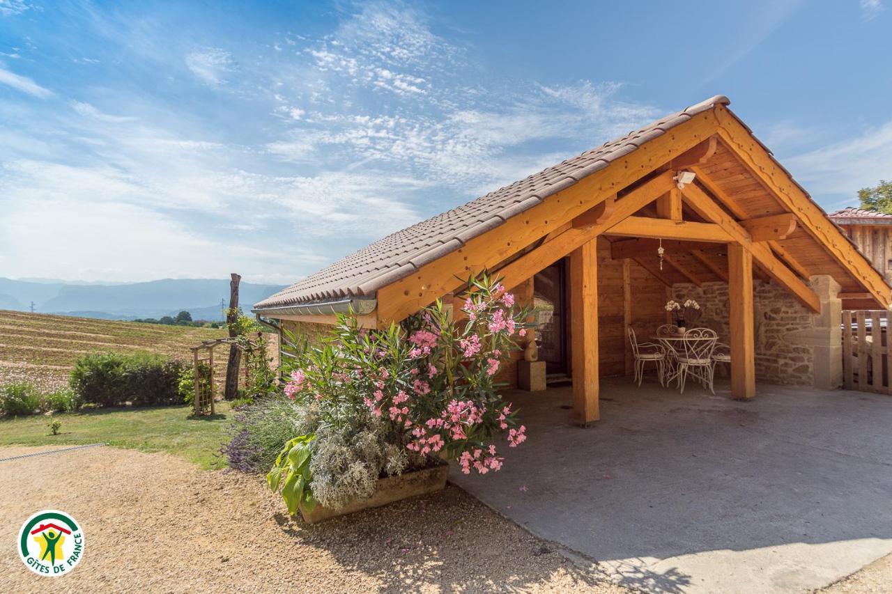 Saint-Lattier Chalet Le Clos De L'Orme מראה חיצוני תמונה