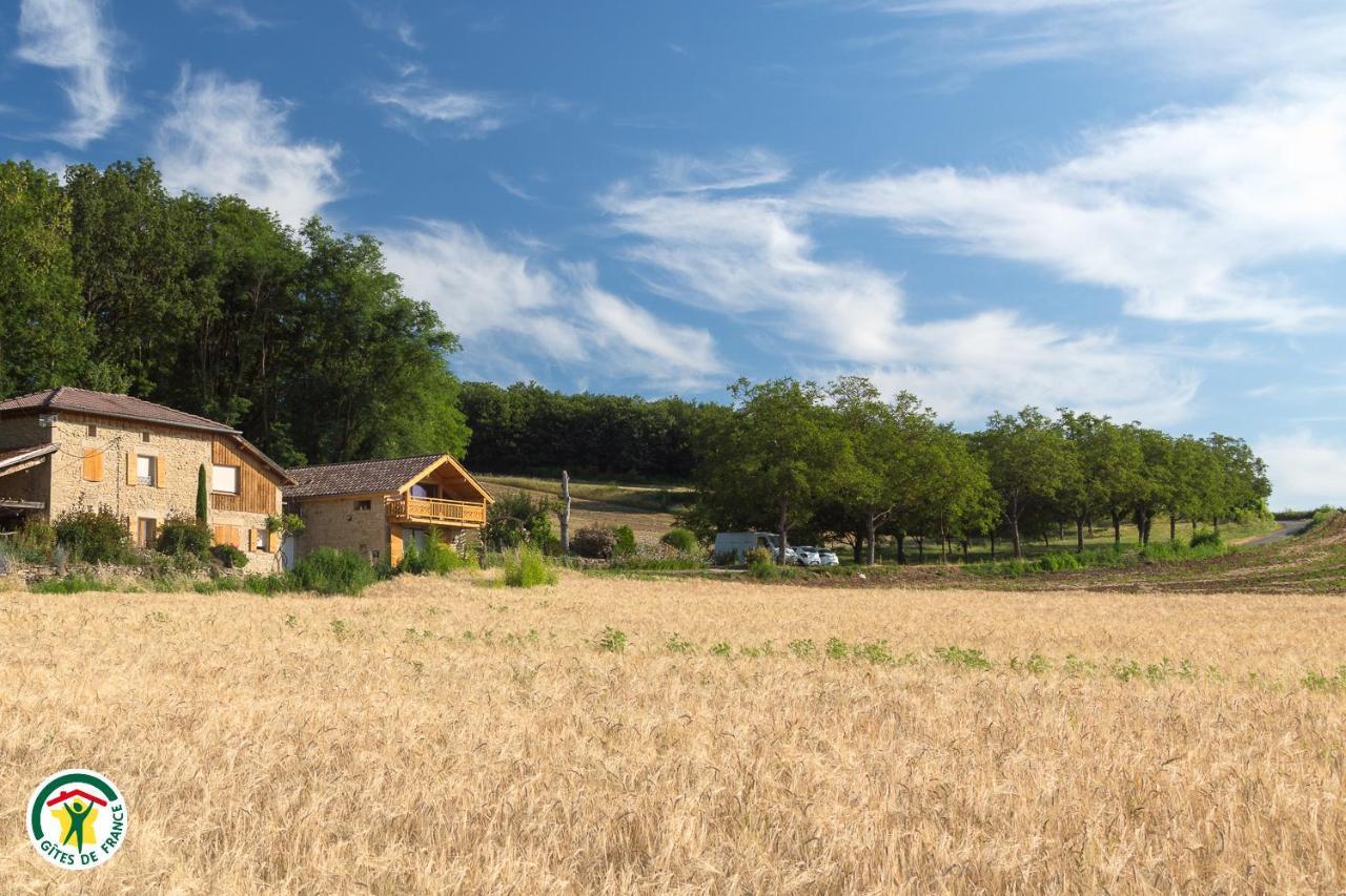 Saint-Lattier Chalet Le Clos De L'Orme מראה חיצוני תמונה