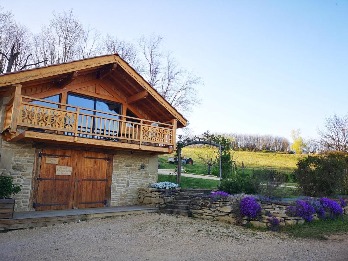 Saint-Lattier Chalet Le Clos De L'Orme מראה חיצוני תמונה